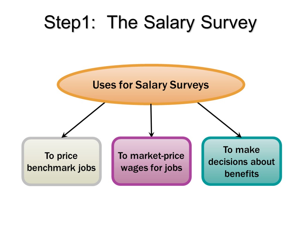 Step1: The Salary Survey